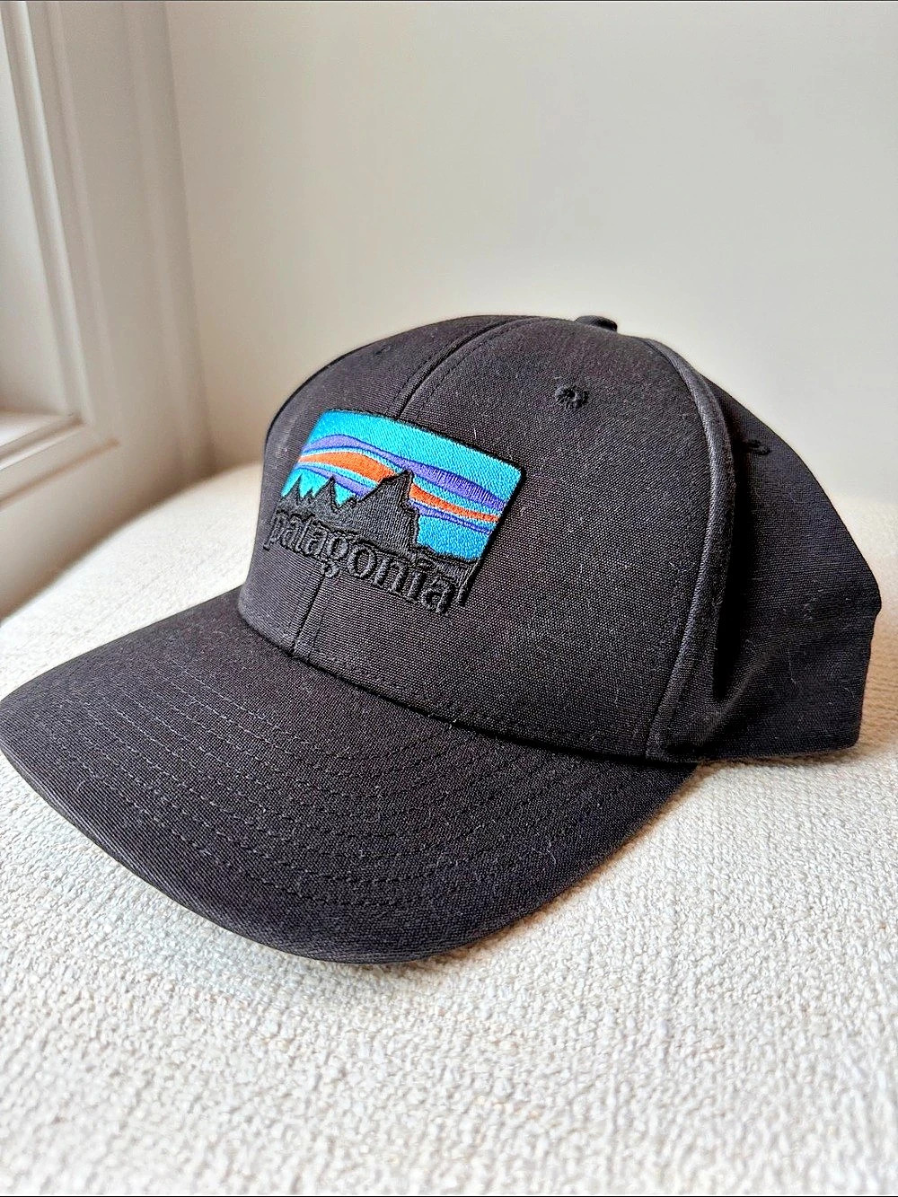 Patagonia Fitz Roy Horizons Trucker Hat Black
